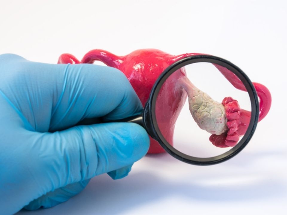 como-saber-cual-es-mi-reserva-ovarica-blog-ingenes