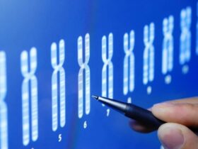 aneuploidia-que-es-como-prevenir-cromosomas