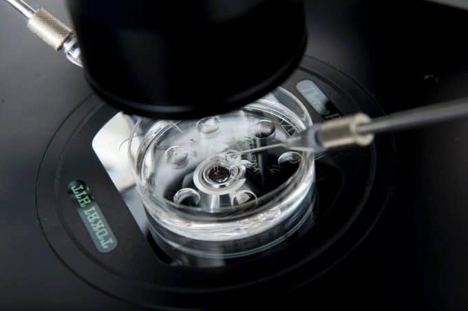 eggs-IVF-Research-embryo-transfer-assisted-reproduction-fertility-infertility-oocyte-under-the-microscope