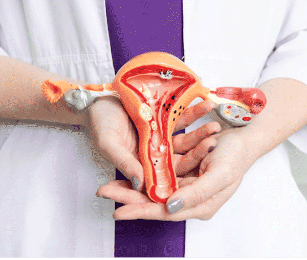 salud-reproductiva-dia-mundial-salud-7-abril-ingenes-reproduccion-asistida-fiv-fertilizacion-in-vitro-manos-ginecologa-con-utero