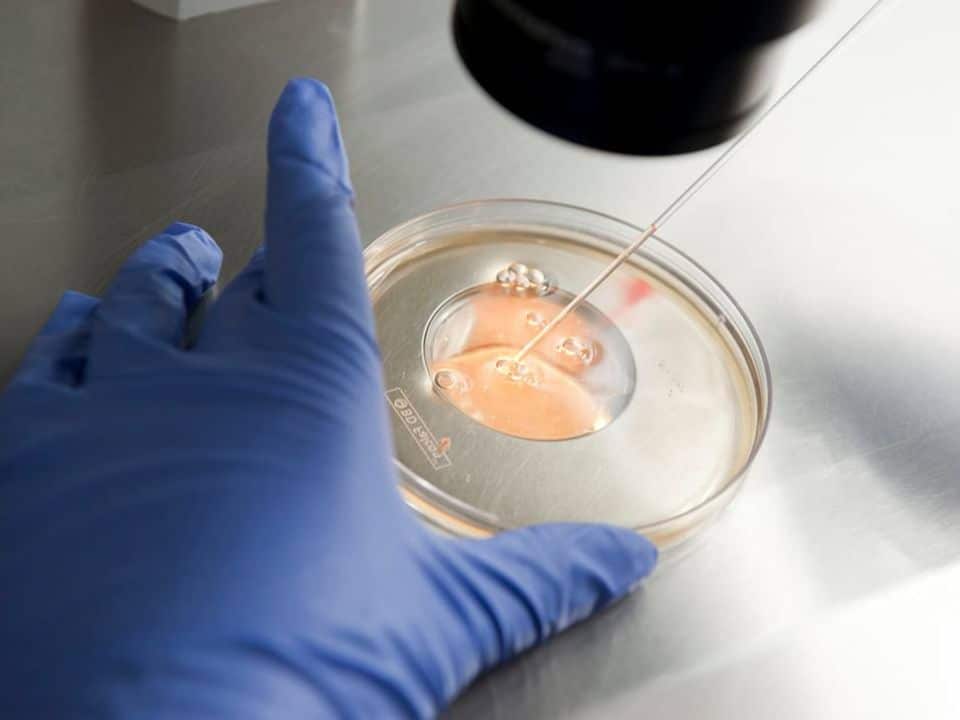 tratamiento-de-fertilizacion-in-vitro-mas-alla-de-la-infertilidad-fiv-procedimiento-fertilizacion-en-laboratorio-fiv-en-ingenes