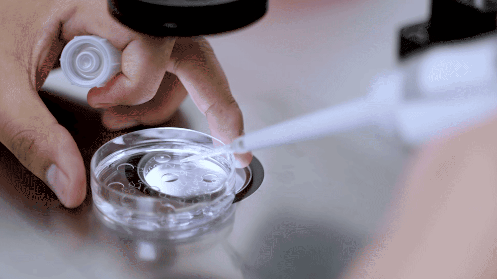 embryo-factor-infertility-fertility-assisted-reproduction