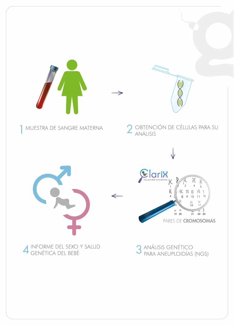 clarix-detecta-anomalias-geneticas-en-tu-bebe-pasos-para-realizar-test-prenatal-no-invasivo-en-ingenes