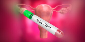 AMH-test-helps-only-to-determine-egg-quantity-but-not-quality-blood-sample-for-pregnancy-prediction