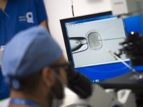 reproduccion-asistida-una-gran-alternativa-cinertifica-no-muy-bien-aceptada